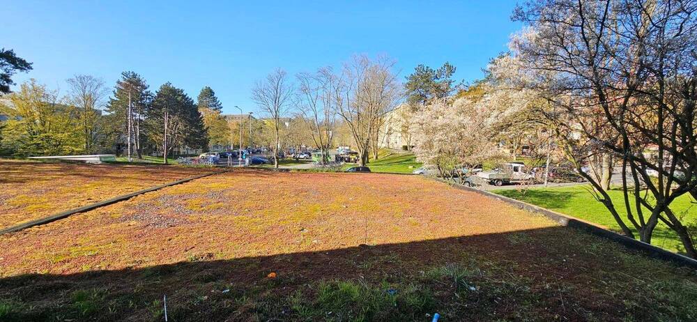 Etagenwohnung Wiesbaden Dotzheim - 3 Zimmer, 78 m&sup2;, 782&euro; | Angebot:26118026