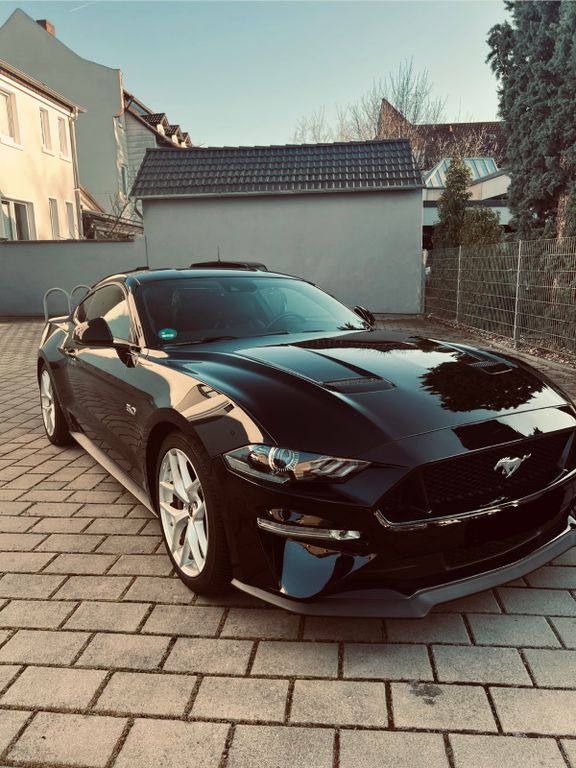Mustang