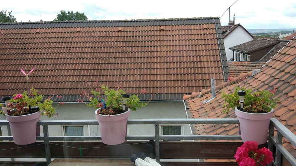 Dachgeschoßwohnung Wiesbaden Mainz-Amöneburg - 2.5 Zimmer, 52 m&sup2;, 765&euro; | Angebot:24719785