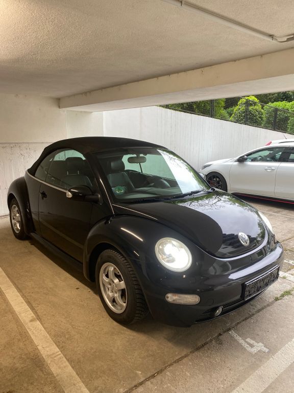 Beetle