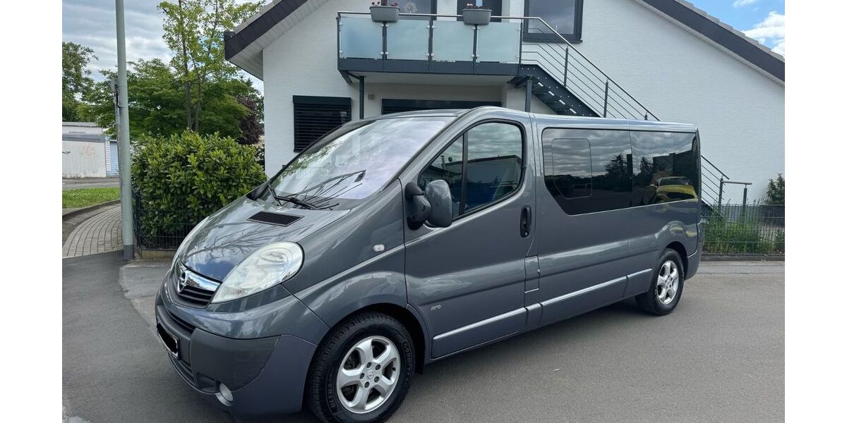 Opel Vivaro 166.000 km 13.500 € Trebur 65468