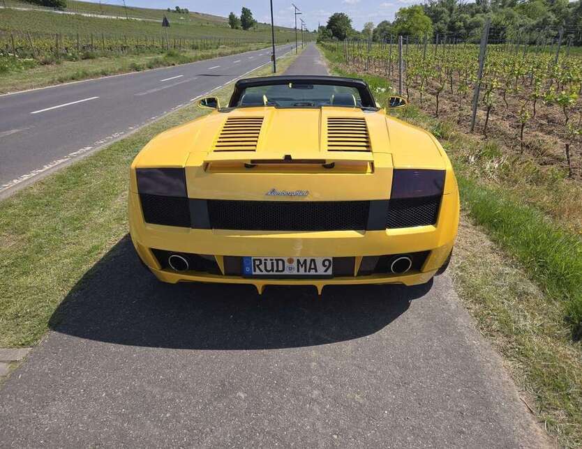 Gallardo