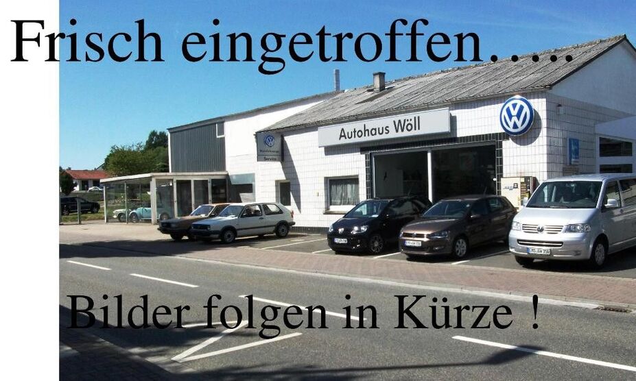 VW T-Roc 19.600 km 28.480 € Katzenelnbogen 56368