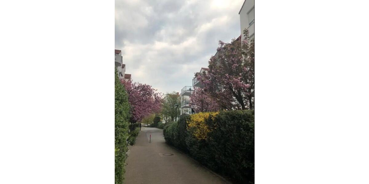 Etagenwohnung Kriftel - 3 Zimmer, 77 m&sup2;, 1.400&euro; | Angebot:26105058