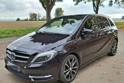Mercedes-Benz B 250 161.500 km 13.600 &euro; Udenheim 55288