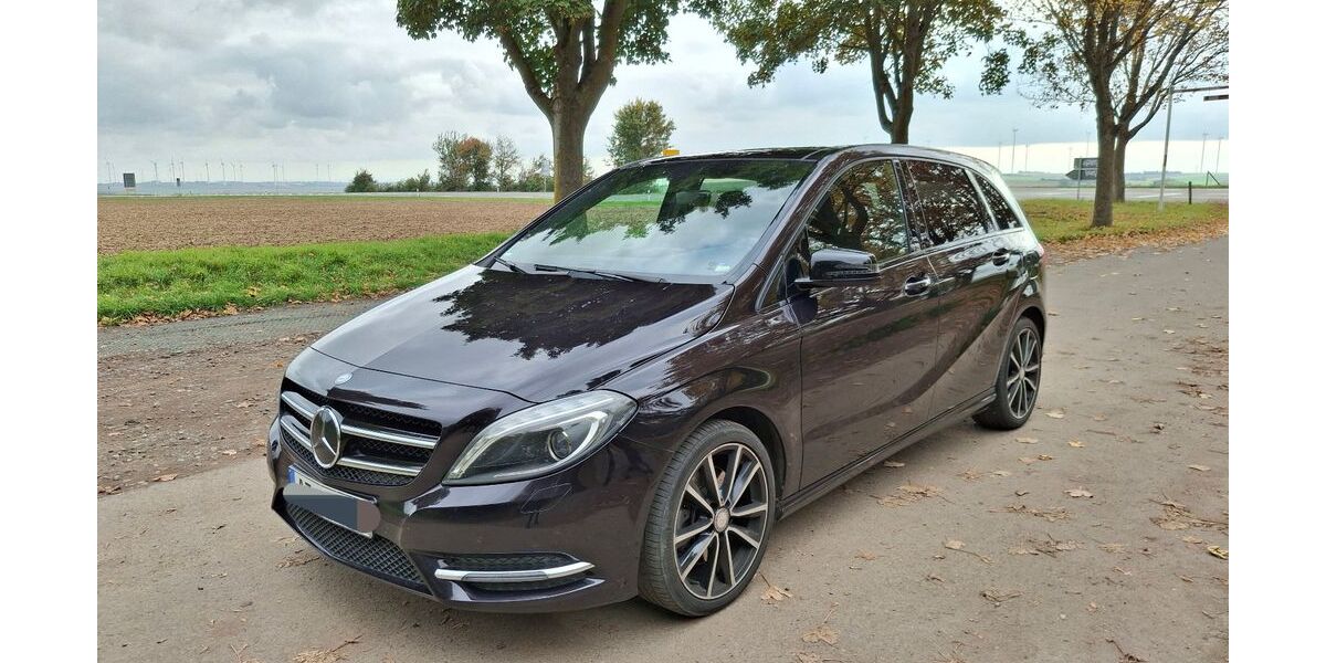 Mercedes-Benz B 250 161.500 km 13.600 &euro; Udenheim 55288