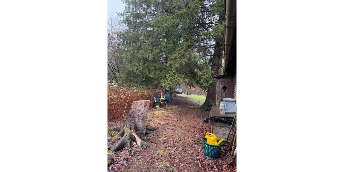 Grundstück Rüsselsheim am Main - 180&euro; | Angebot:26325208