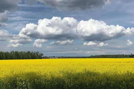 Grundstück zu verkaufen in Kronberg 1.000.000 € 800 m² zimmer