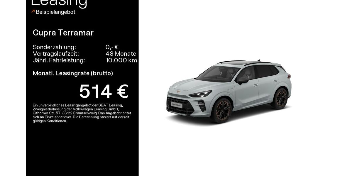 Cupra Terramar 3.500 km 46.390 &euro; Hofheim-Diedenbergen 65719