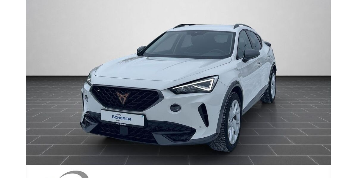 Cupra Formentor 21.891 km 28.380 &euro; Mainz 55129