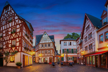 Haus Mainz - 1.500.000&euro; | Angebot:25162831