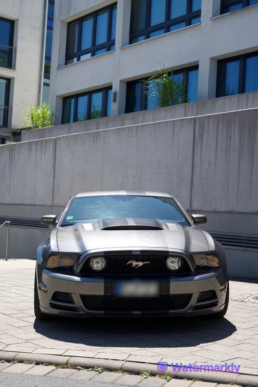 Mustang