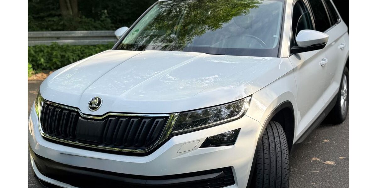 Skoda Kodiaq 172.000 km 20.200 € Eppstein 65817