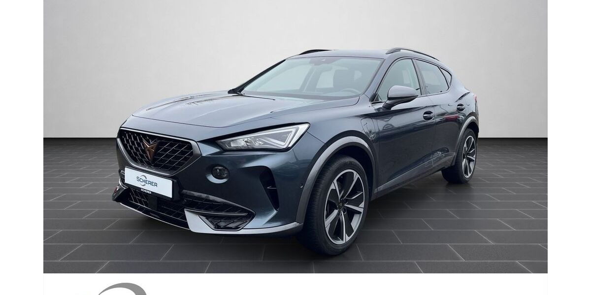 Cupra Formentor 30.776 km 20.980 &euro; Mainz 55129