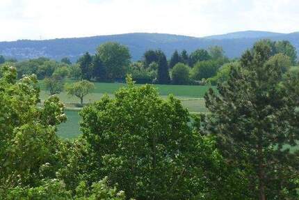 Wohnung Steinbach - 2 Zimmer, 60 m&sup2;, 690&euro; | Angebot:25673135