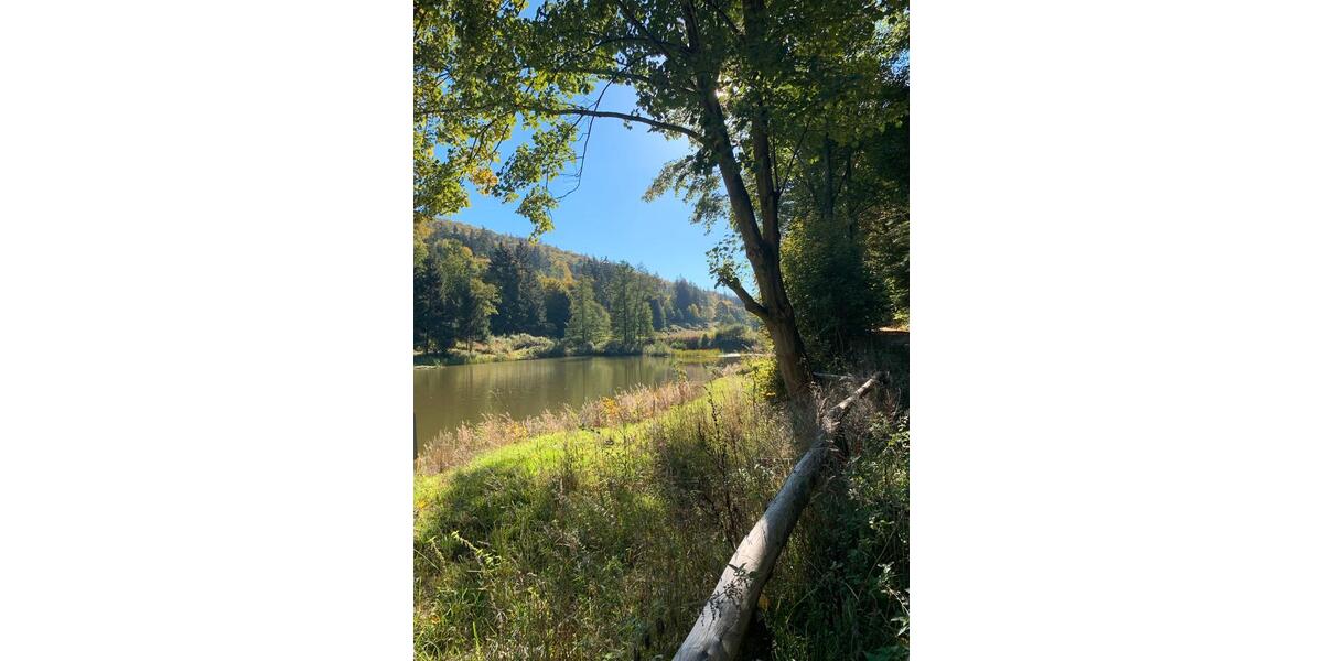Einfamilienhaus Schmitten im Taunus - 8 Zimmer, 160 m&sup2;, 1.750&euro; | Angebot:26444370