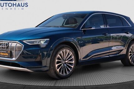 Audi e-tron 155.826 km 23.900 &euro; Bodenheim 55294