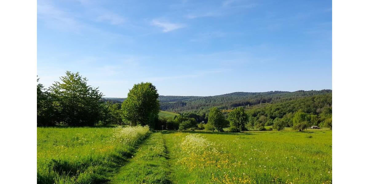 Erdgeschoßwohnung Schlangenbad - 8 Zimmer, 250 m&sup2;, 2.500&euro; | Angebot:24842776