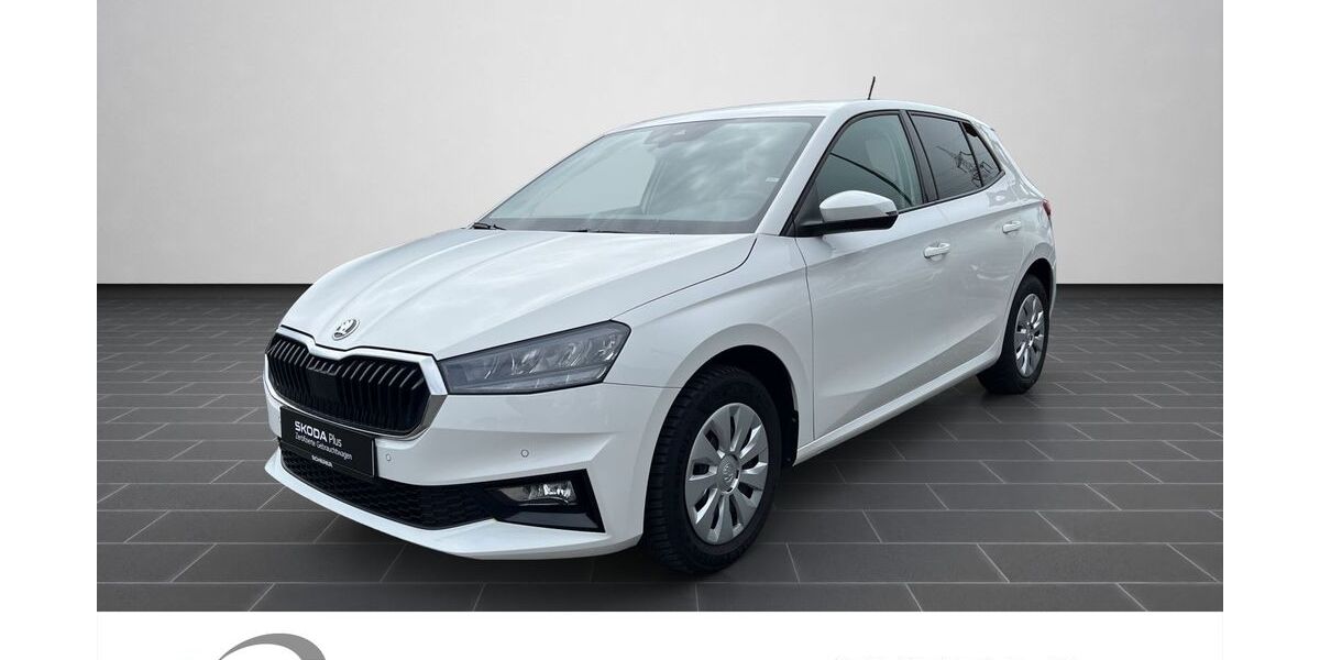 Skoda Fabia 71.569 km 13.980 &euro; Mainz 55129