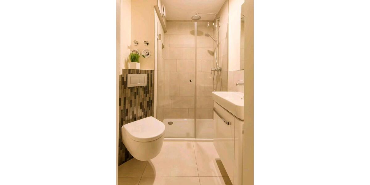 Etagenwohnung Hochheim am Main - 1 Zimmer, 45 m&sup2;, 1.100&euro; | Angebot:24490108