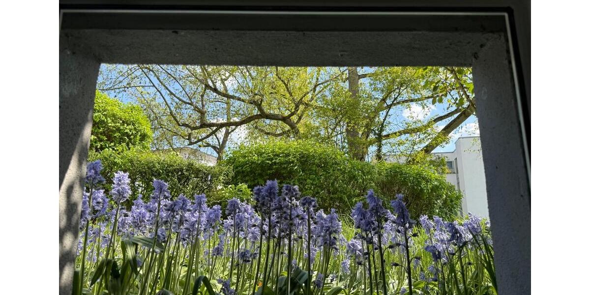 Etagenwohnung Wiesbaden Südost - 3 Zimmer, 81 m&sup2;, 433.000&euro; | Angebot:26215900