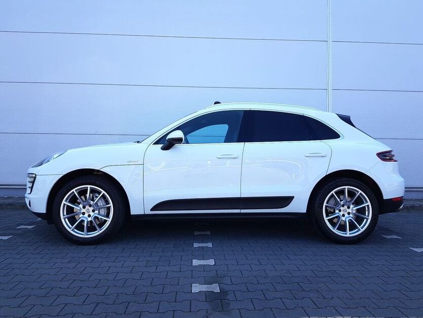 Macan