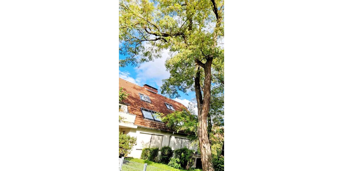 3 Zimmer Wohnung in Mainz Bretzenheim 3 zimmer