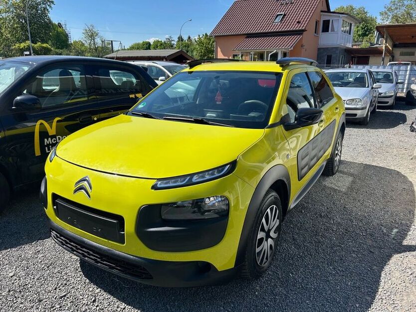 C4 Cactus