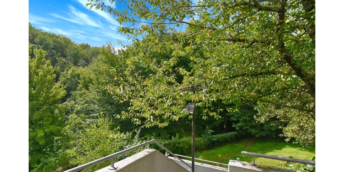 Top 4 Zi Terrassenwhg. für Natur- u.Tierliebhaber 4 zimmer