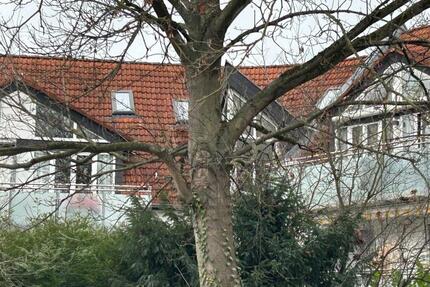 Dachgeschosswohnung mit Galerie in zentraler Lage von Nieder-Olm 2.5 zimmer