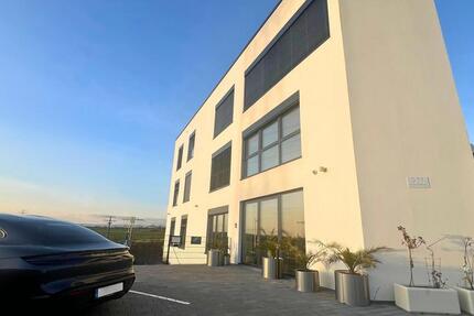 Neubauobjekt in Hofheim-Diedenbergen: Stilvolle 4-Zimmer-Wohnung mit Balkon 4 zimmer