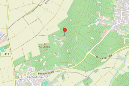 ***Sonniger Weinberg mit ca. 4.953 m² in attraktiver Lage von Bodenheim*** - Grundstück Bodenheim | Angebot:25542353