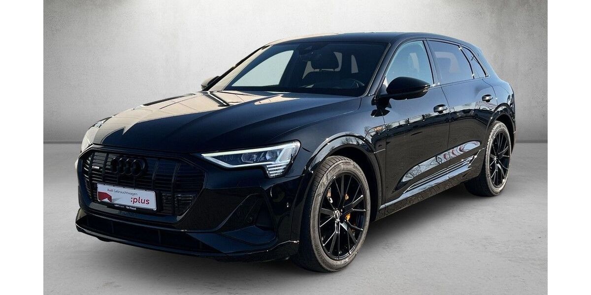Audi e-tron 46.149 km 39.680 &euro; Mainz 55131