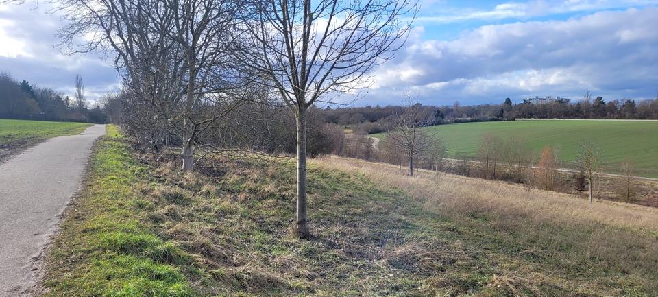 Etagenwohnung Mainz Ebersheim - 2 Zimmer, 66 m&sup2;, 250.000&euro; | Angebot:24074968