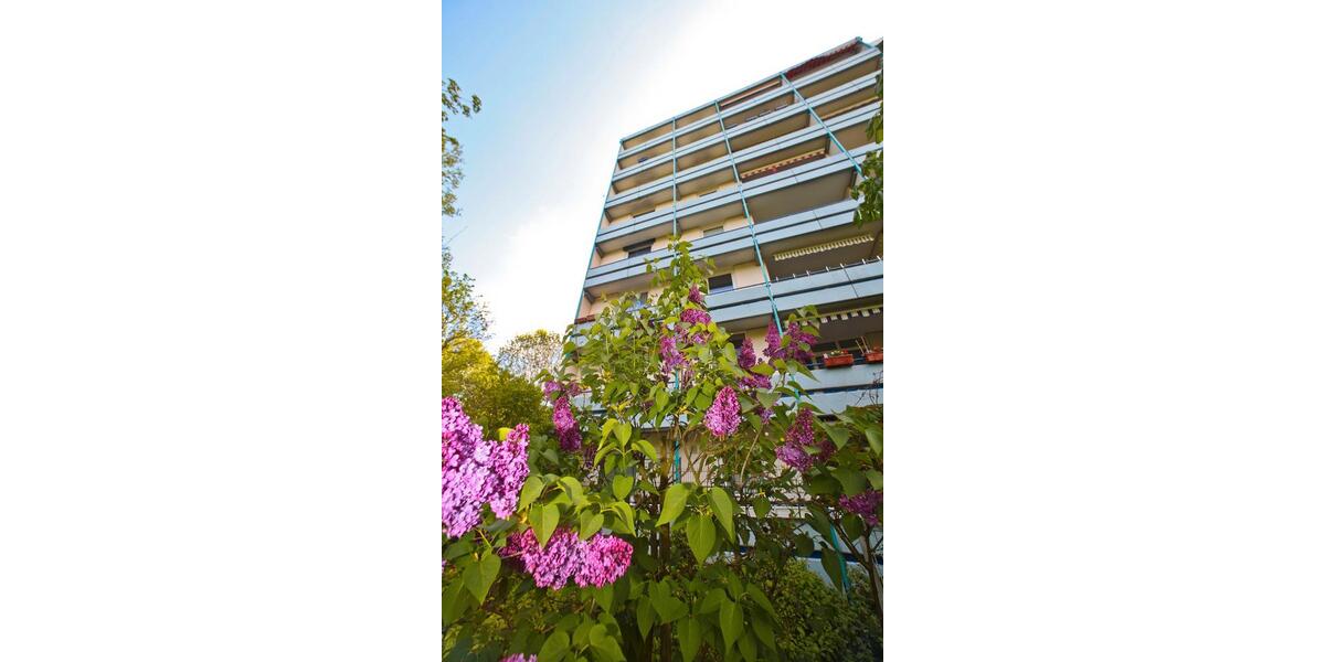 Etagenwohnung Mainz Oberstadt - 1 Zimmer, 48 m&sup2;, 726&euro; | Angebot:26337292