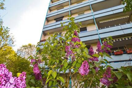 Wohnung Mainz Oberstadt - 1 Zimmer, 48 m&sup2;, 726&euro; | Angebot:26337292
