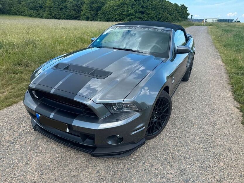 Mustang