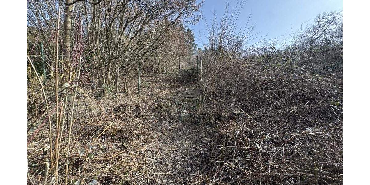 Einfamilienhaus Wiesbaden Frauenstein - 4 Zimmer, 97 m&sup2;, 318.000&euro; | Angebot:25469553