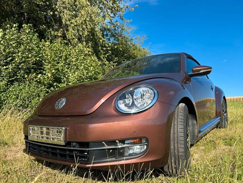 Beetle