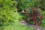 Grundstück Schmitten im Taunus Oberreifenberg - 865.000&euro; | Angebot:25778783