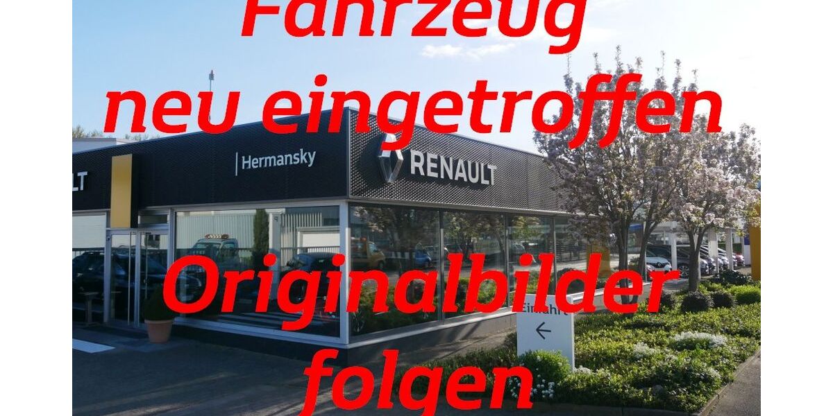 Renault ZOE 34.400 km 15.990 &euro; Geisenheim 65366