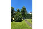 Hochparterre Wiesbaden Dotzheim - 3 Zimmer, 90 m&sup2;, 1.890&euro; | Angebot:26354957