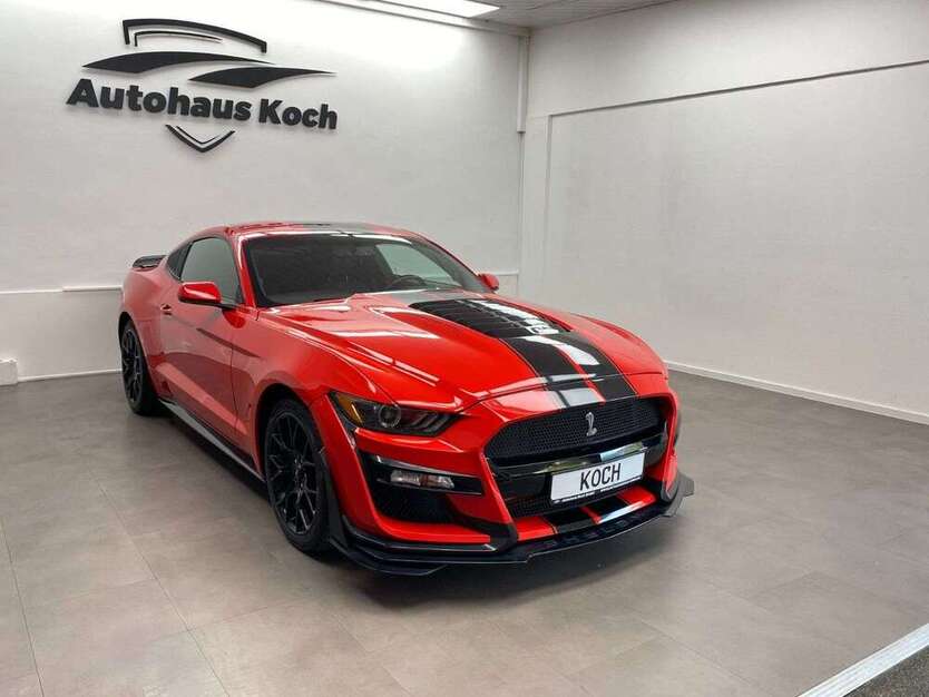 Mustang