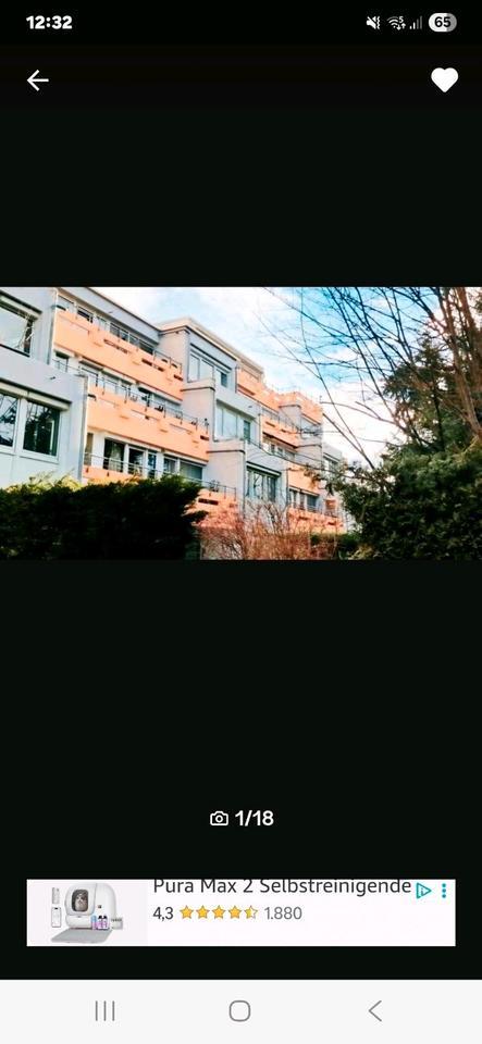 wohnung zu mieten zimmer