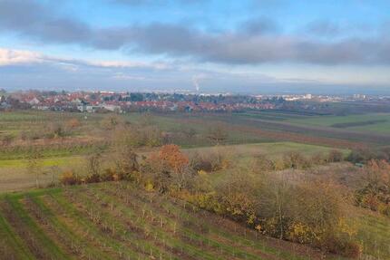 Provisionsfrei! Modernisierte 3,5ZKB. Sofort verfügbar. 3 zimmer