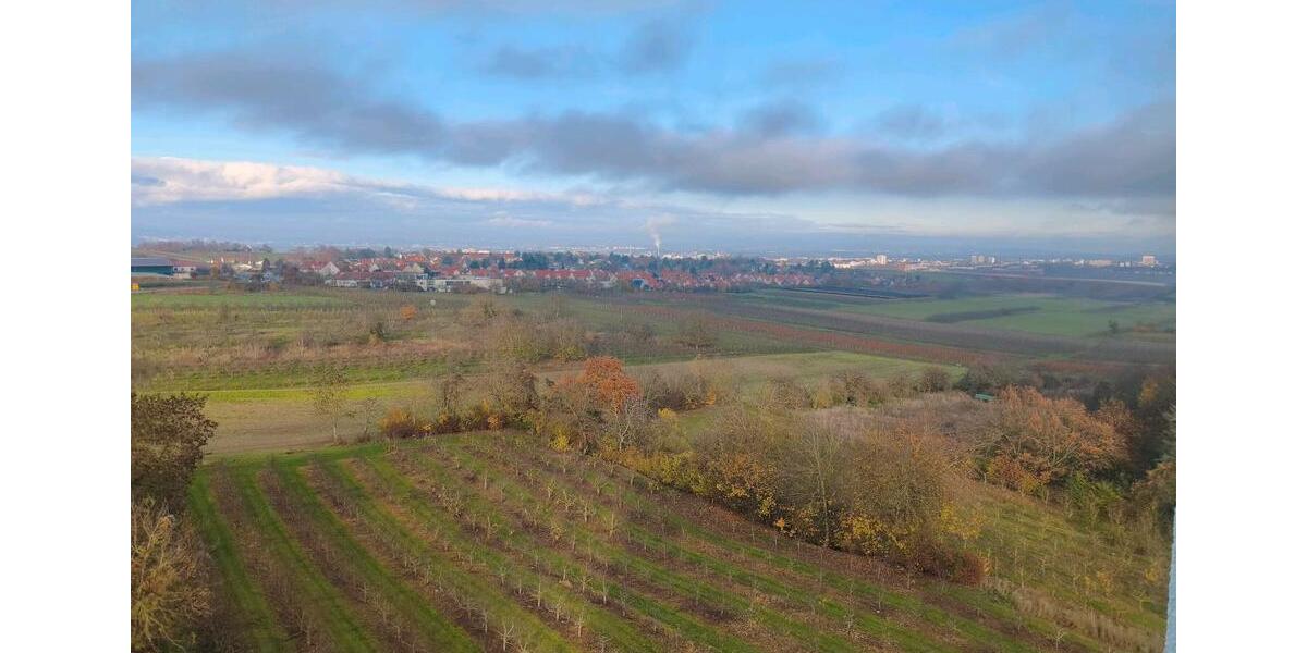 Provisionsfrei! Modernisierte 3,5ZKB. Sofort verfügbar. 3 zimmer