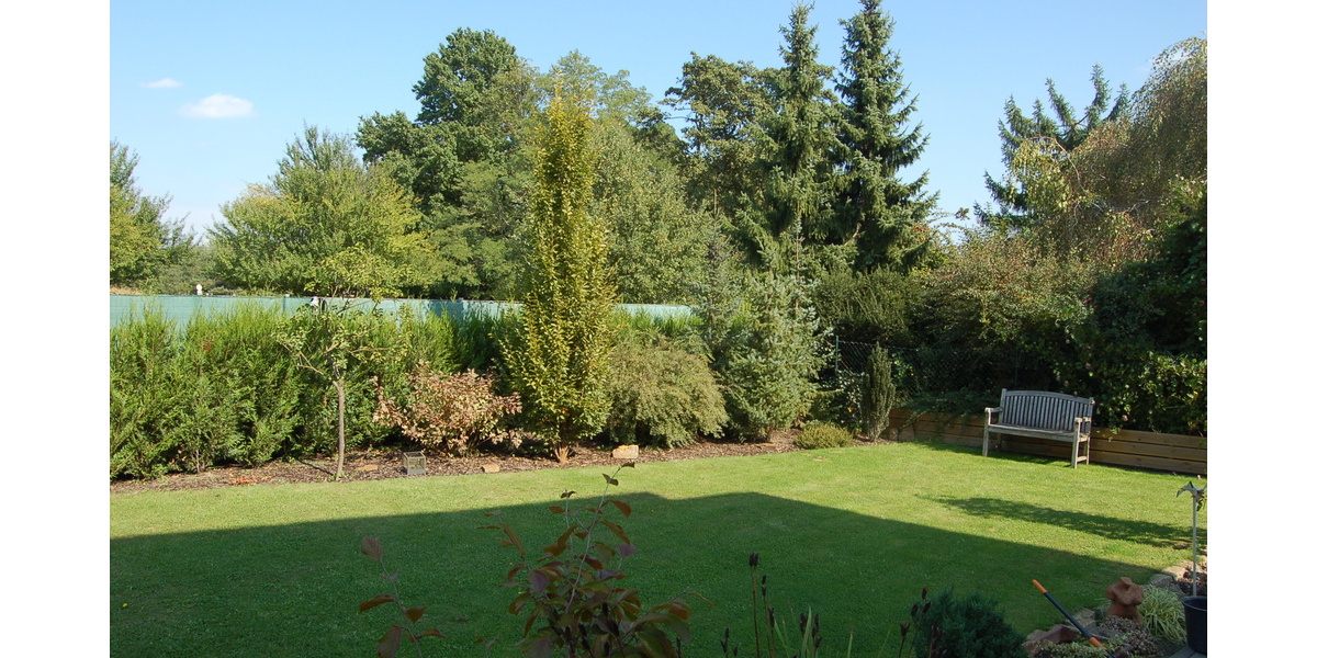 Architektenhaus in Feldrandlage mit ca. 350m² Wohnfl. und ca. 802m² Grundst.! - Einfamilienhaus Büttelborn | Angebot:26644562