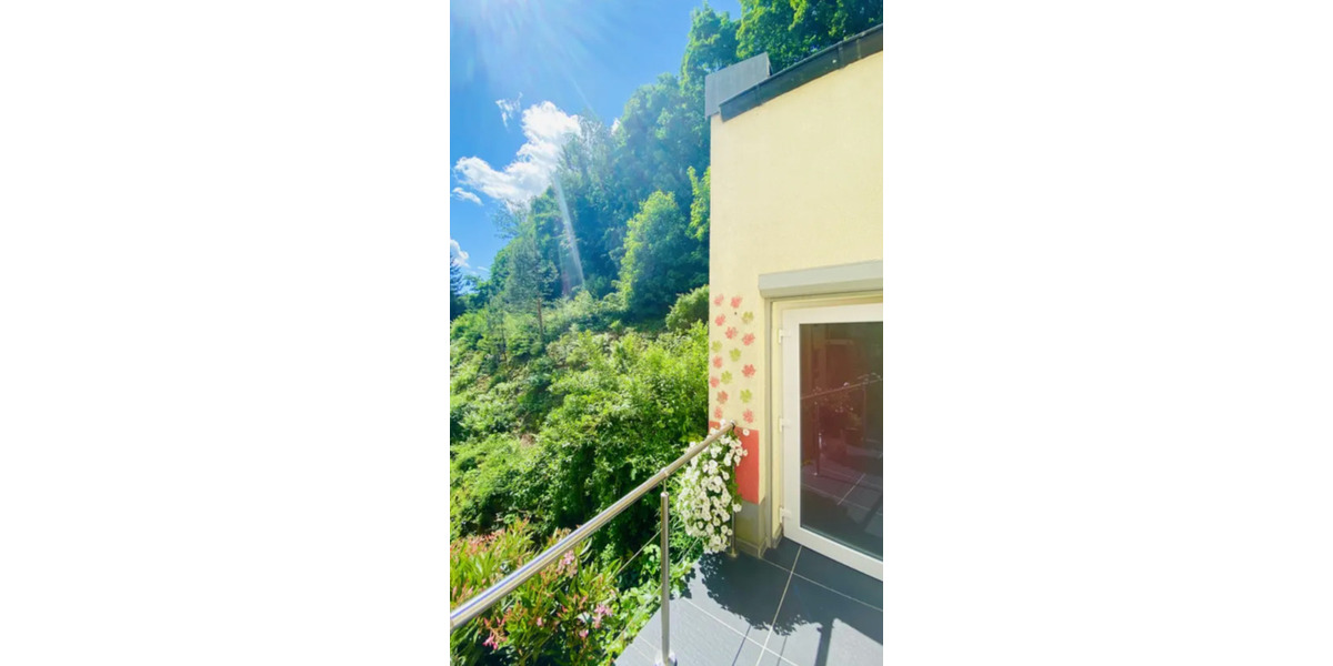 Wohnung am Park mit 2 Terrassen zimmer