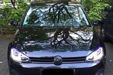 VW Golf 183.272 km 7.500 &euro; Wiesbaden 65197