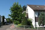 Etagenwohnung Bad Soden - 2 Zimmer, 62 m&sup2;, 1.064&euro; | Angebot:26916530